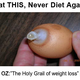 Illustration for article titled What is this 1 Weird Diet Fruit?